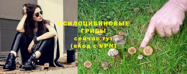 apvp Белокуриха