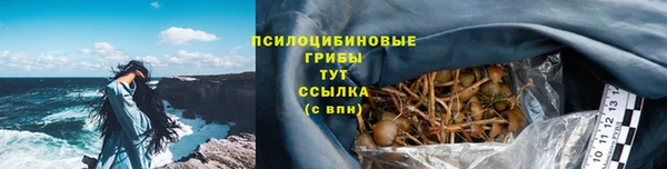 apvp Белокуриха