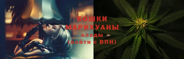 apvp Белокуриха