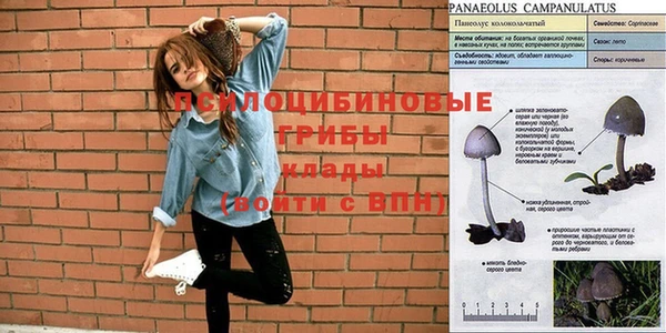 таблы Беломорск