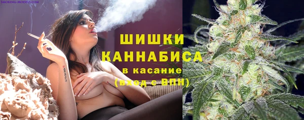 apvp Белокуриха