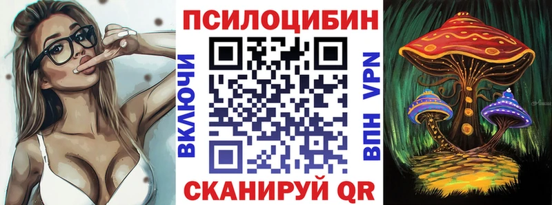 купить   Ялуторовск  Галлюциногенные грибы Psilocybine cubensis 