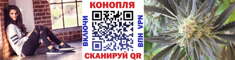 Бошки марихуана семена  MEGA tor  Ялуторовск  что такое наркотик 
